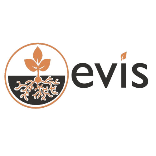 Logo EVIS